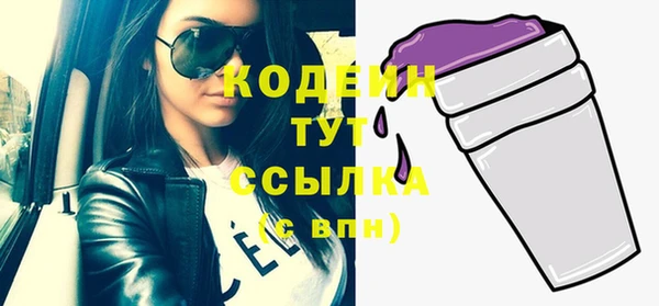 индика Горно-Алтайск