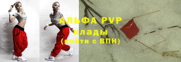 индика Горно-Алтайск