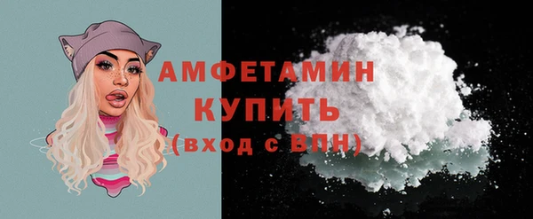 индика Горно-Алтайск