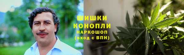 индика Горно-Алтайск