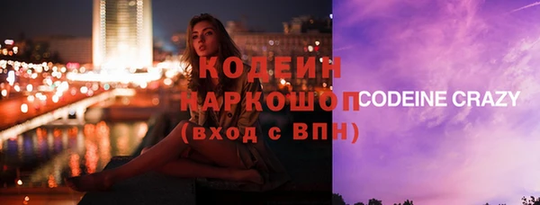 индика Горно-Алтайск