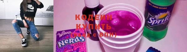 индика Горно-Алтайск