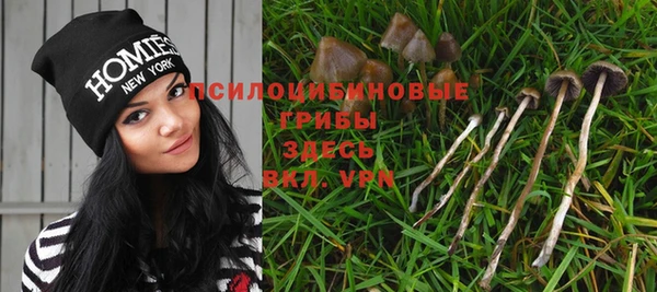 кокаин перу Горняк