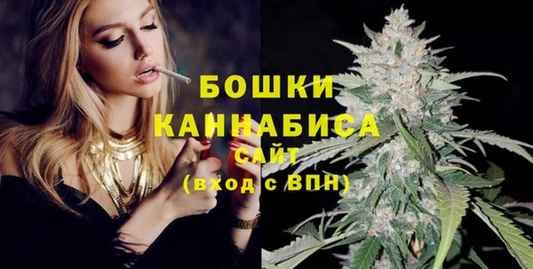 индика Горно-Алтайск