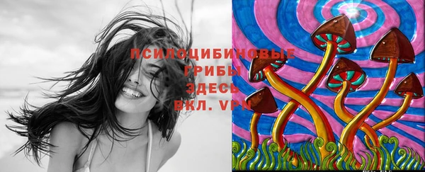 кокаин перу Горняк