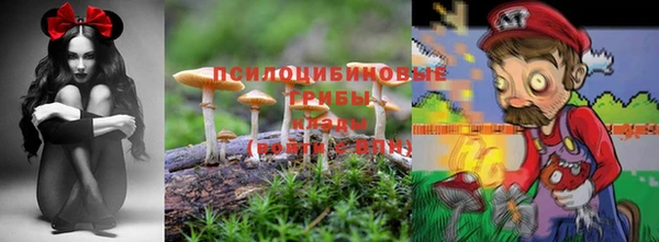 наркотики Горнозаводск