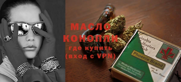 индика Горно-Алтайск