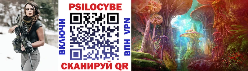 Купить где  Рудня  Псилоцибиновые грибы GOLDEN TEACHER 
